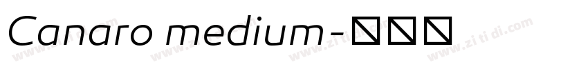 Canaro medium字体转换